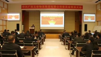 玉柴物流集團黨委完成換屆選舉，夯實黨建基礎(chǔ)